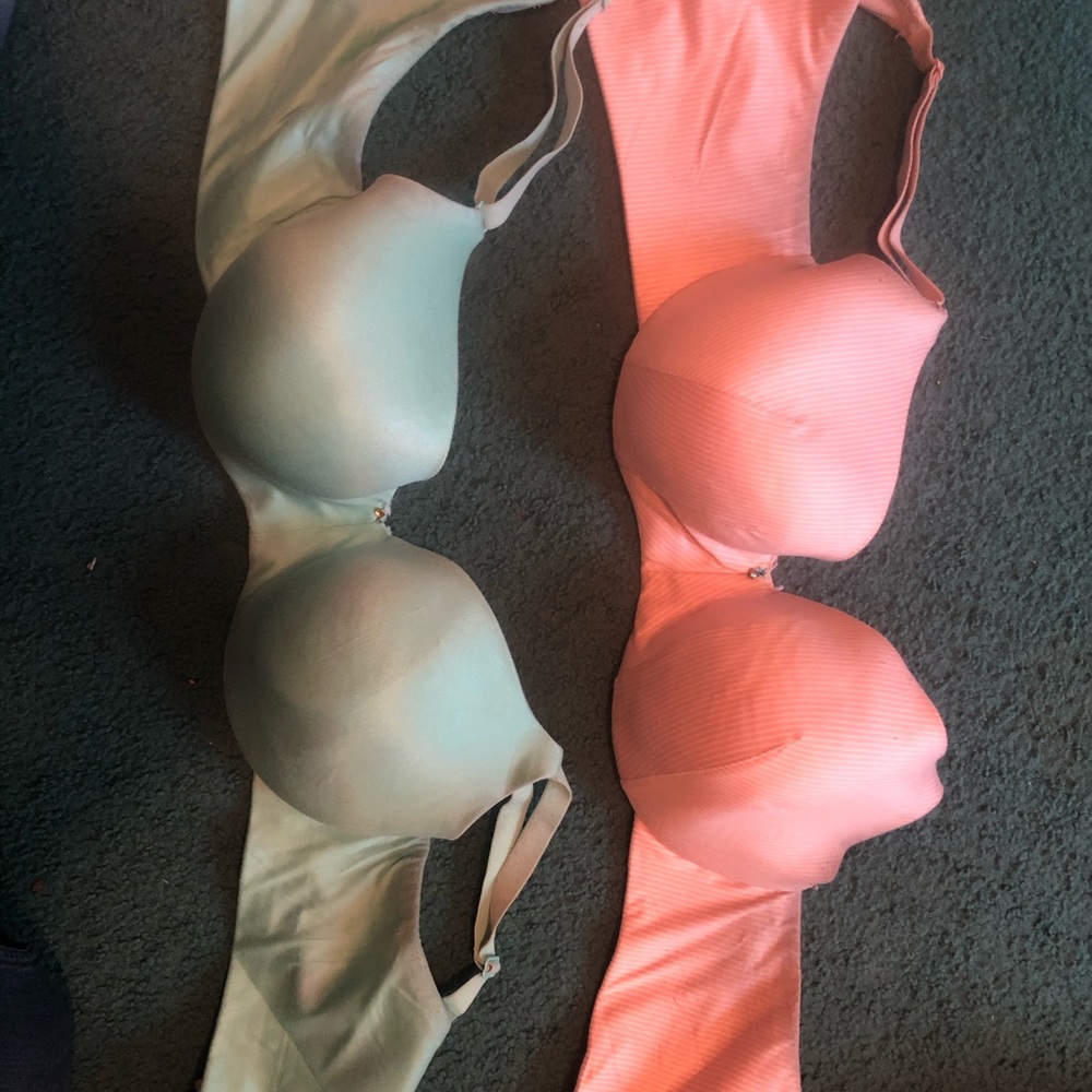 Lane Bryant Bras